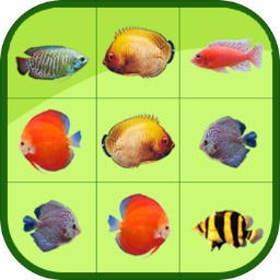 亚投app